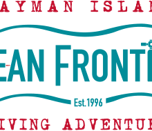 footer-logo