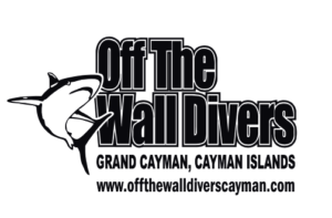 Off the wall logo